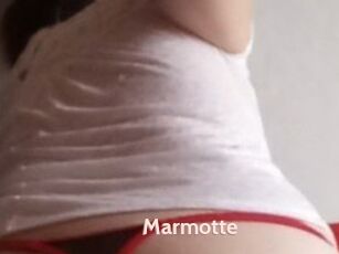 Marmotte