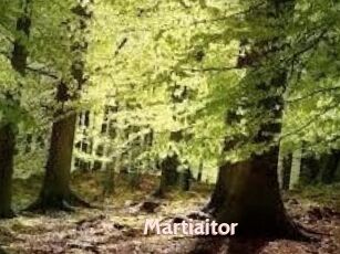 Martiaitor