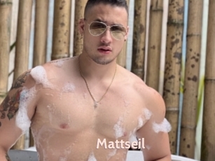 Mattseil
