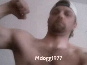 Mdogg1977