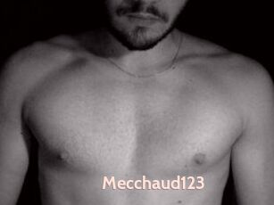 Mecchaud123