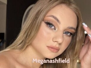 Meganashfield