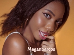 Meganbarcos