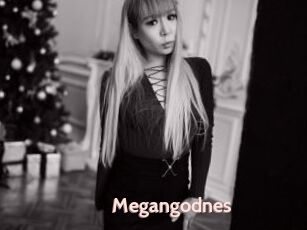 Megangodnes