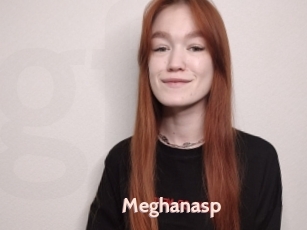 Meghanasp