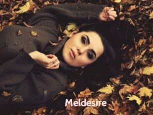 Meldesire