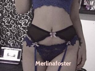 Merlinafoster