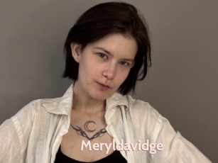 Meryldavidge