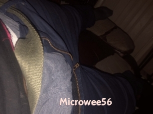 Microwee56