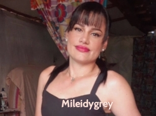 Mileidygrey