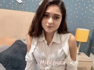 Mini_puca