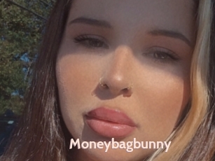 Moneybagbunny