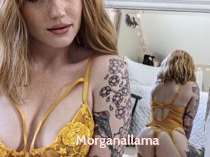 Morganallama