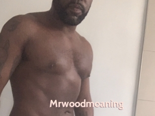 Mrwoodmoaning