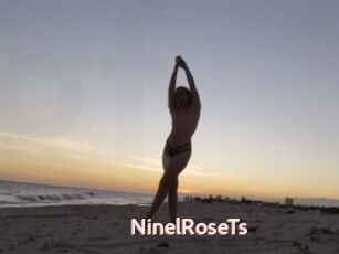 NinelRoseTs