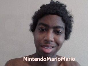 NintendoMarioMario