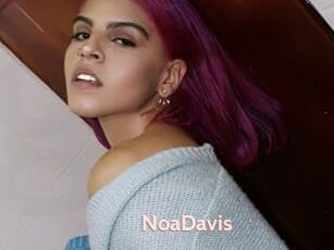 NoaDavis