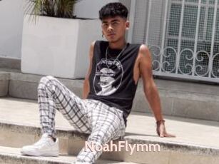 NoahFlymm
