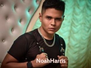 NoahHarris