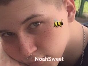 NoahSweet