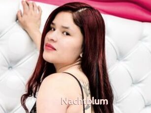 Nachtblum