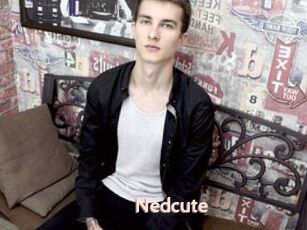 Nedcute