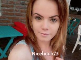 Nicebitch23