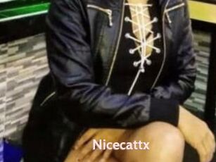 Nicecattx