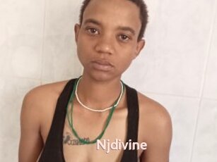 Njdivine