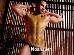Noahallen