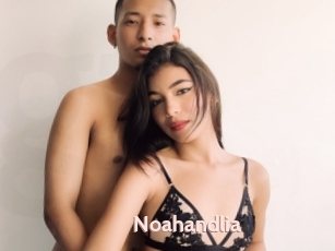 Noahandlia