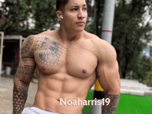 Noaharris19