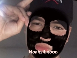 Noahsihnooo