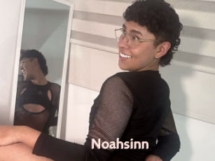 Noahsinn