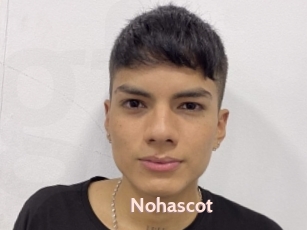 Nohascot