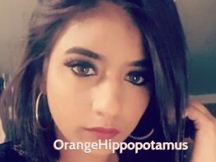 OrangeHippopotamus