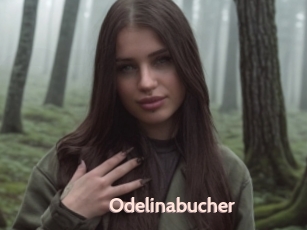 Odelinabucher