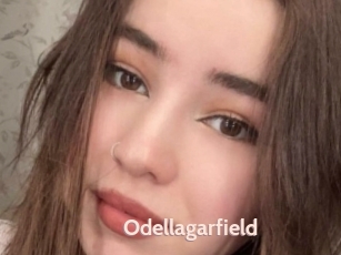 Odellagarfield