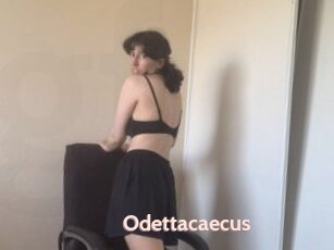 Odettacaecus