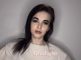 Orvafugler