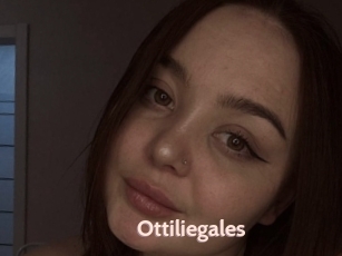 Ottiliegales