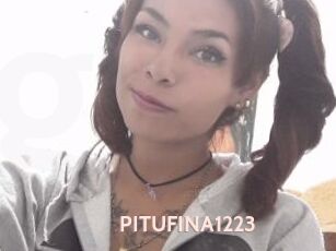 PITUFINA1223