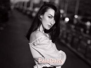 PaleDaisy