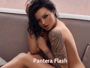 Pantera_Flash