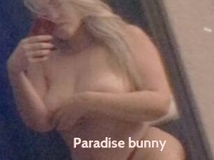 Paradise_bunny