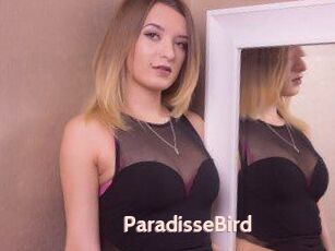 ParadisseBird
