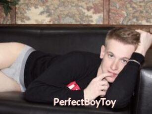 PerfectBoyToy