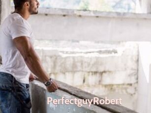 PerfectguyRobert