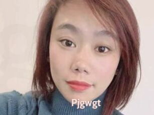 Pjgwgt