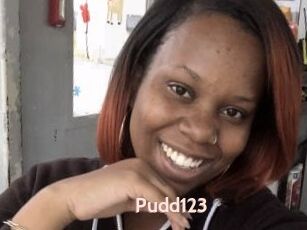 Pudd123